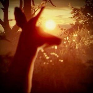 Meet your Posher, Jes